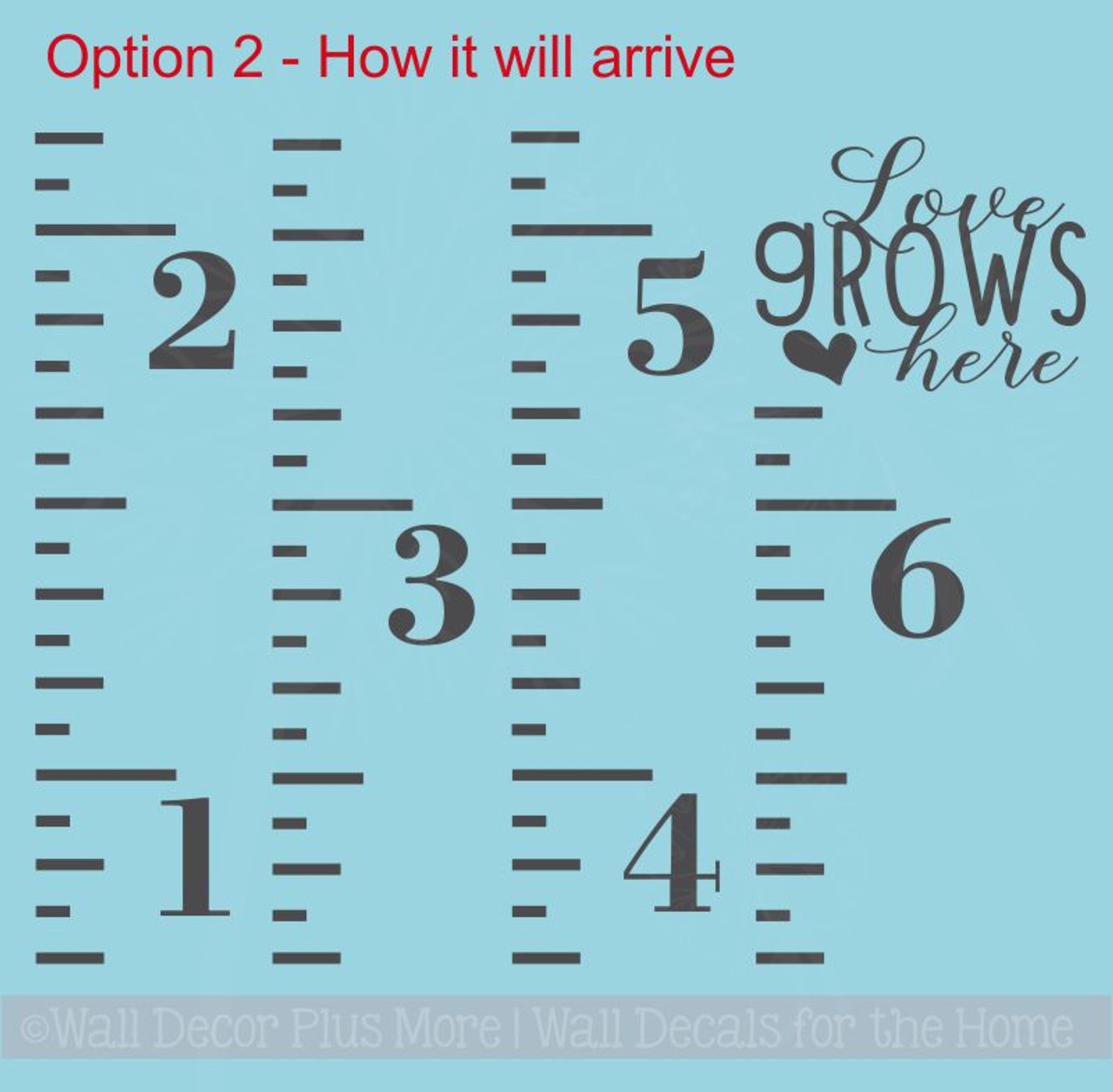 https://cdn11.bigcommerce.com/s-571px4/images/stencil/1280x1280/products/2688/13104/WD1340_Ruler_Growth_Chart_Quote_Options_Nursery_Wall_Decor_Vinyl_Sticker_Decals_Option_2__58450.1630352302.jpg?c=2