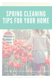 Spring Cleaning Tips for Your Home