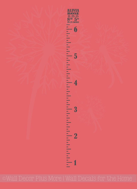 Vintage Oversized Growth Chart Ruler Vinyl Stickers Decal with Baby Statistics