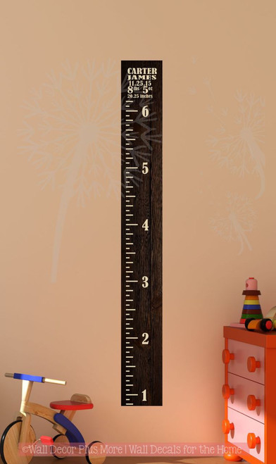 Vintage Oversized Growth Chart Ruler Vinyl Stickers Decal with Baby Statistics