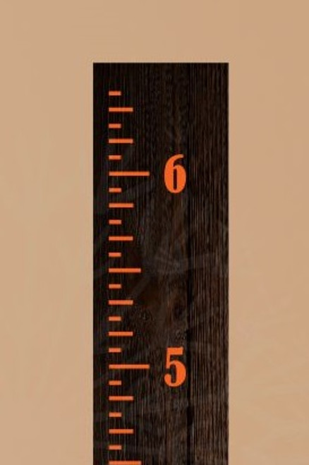 Vintage Ruler Growth Chart