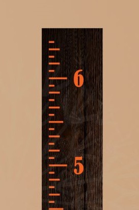 Vintage Oversized Plain Growth Chart Ruler Wall Decal Vinyl Stickers 6 Foot