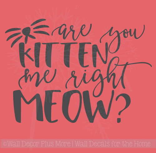 Are You Kitten Me Right Meow? Wall Decal Vinyl Lettering Stickers