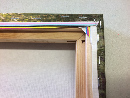 Gallery Wrap 1.5" Canvas Photo Prints Heavy Duty Wall Art Back Framing