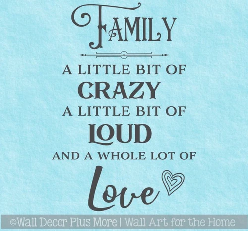 Family Quote Sticker Little Bit of Loud Crazy Love Wall Art Decor Decal