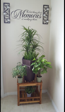 The Best Thing About Memories is Making Them Home Wall Decal Quote