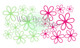 Daisy Floral Wall Decal package