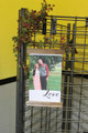 Canvas Photo Prints With Wood Edges Rustic Wall Banner Choose Size & Love or Family Lettering