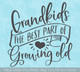 Grandkids Best Part of Growing Old Wall Sticker Decal