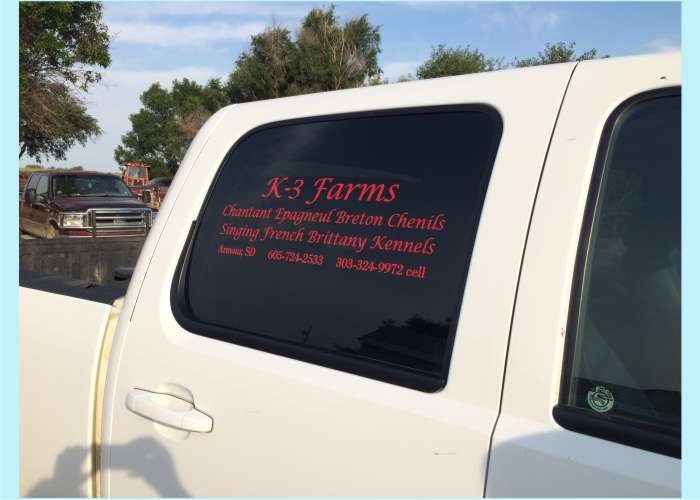 custom-decal-for-pickup-window.jpg