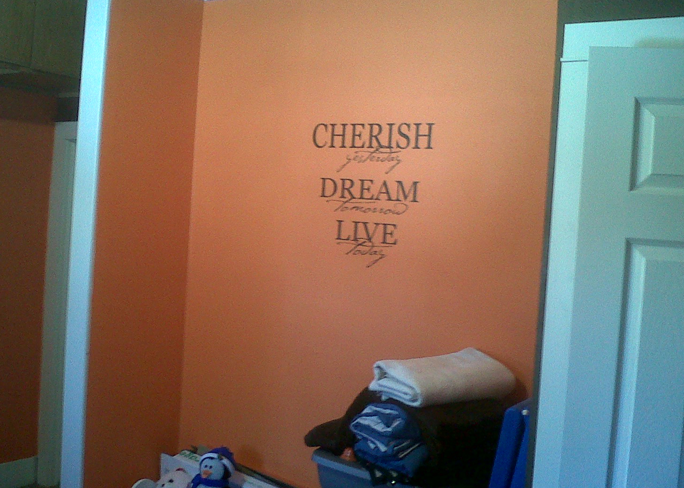 l001-cherish-vinyl-wall-decal-quote-for-home-decor.jpg