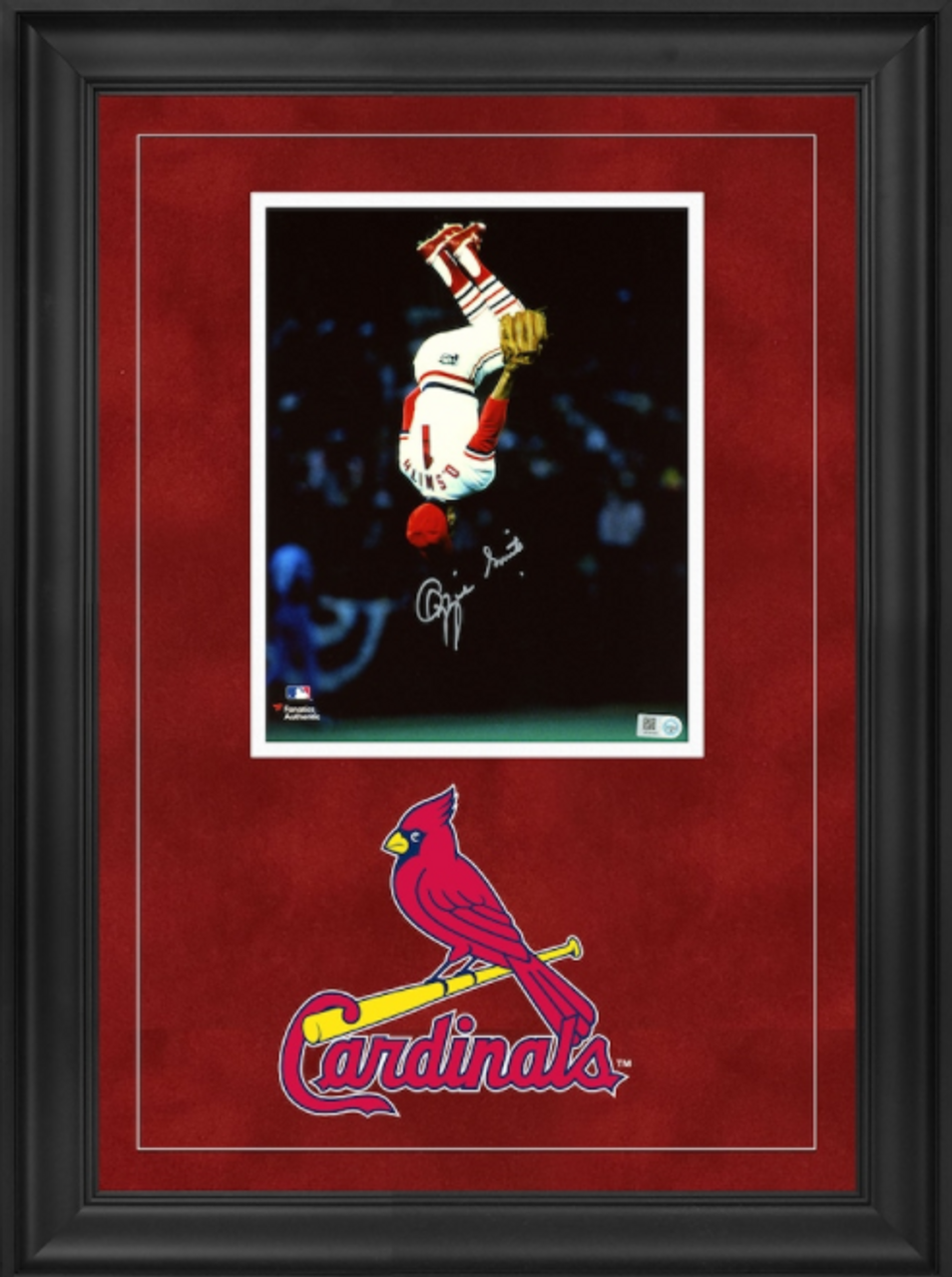 Shop Ozzie Smith St. Louis Cardinals Deluxe Framed Autographed