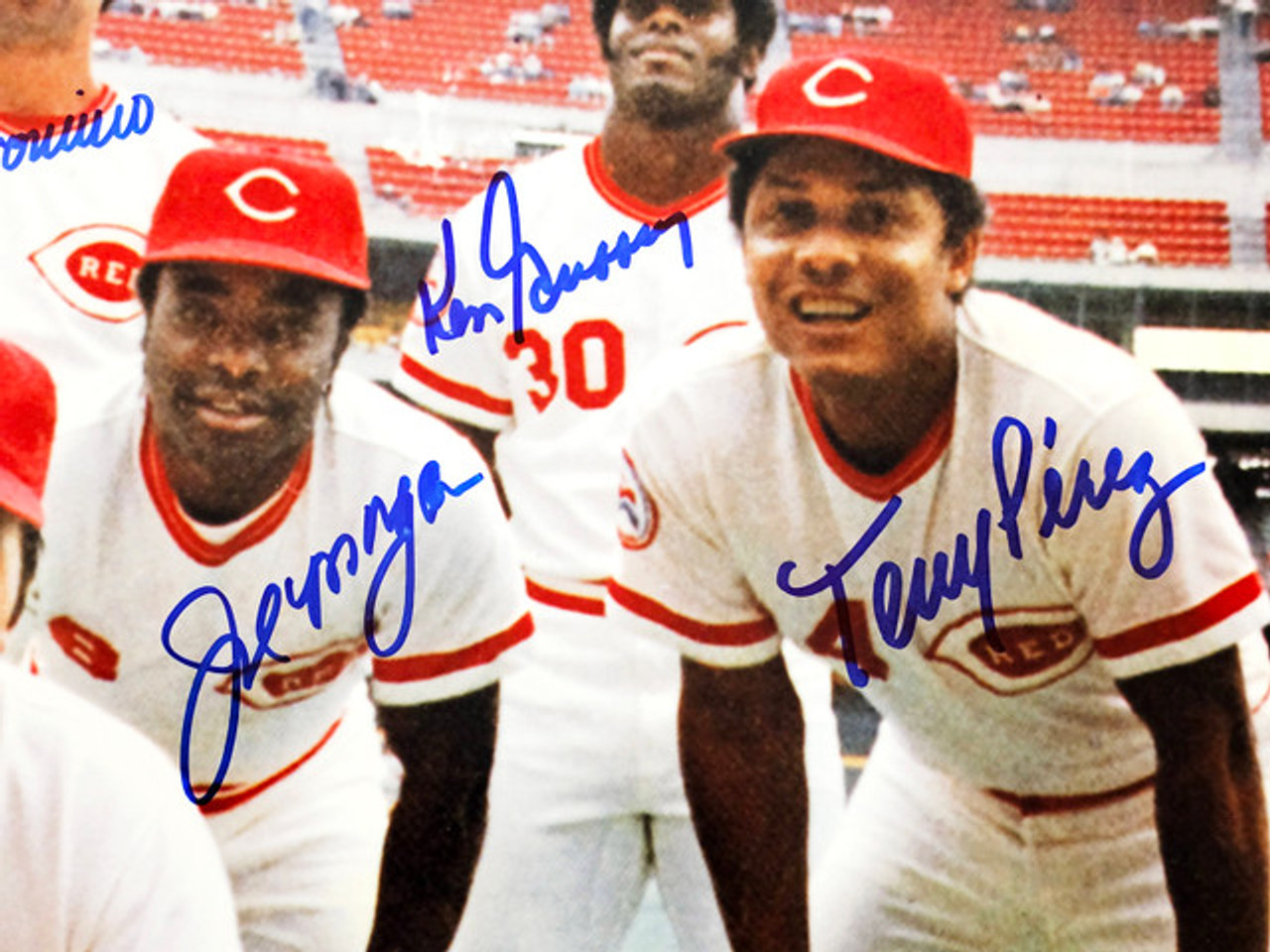 Shop 1975-1976 Cincinnati Reds Autographed 16x20 Photo Big Red Machine  With 8 Signatures Including Johnny Bench & Pete Rose