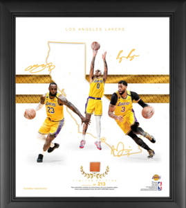 LeBron James Los Angeles Lakers Fanatics Authentic Framed 15 x 17 2020  NBA Finals MVP Collage