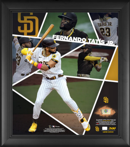 Fernando Tatis Jr. Autographed 16x20 Photo San Diego Padres Bat Flip  Beckett BAS QR Stock #202105