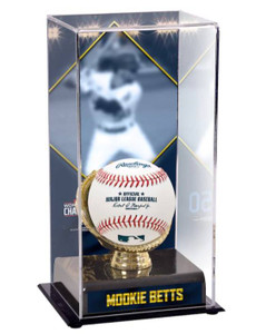 Detroit Tigers Gold Glove Double Baseball Logo Display Case