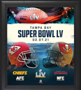 Baltimore Ravens vs. San Francisco 49ers Super Bowl XLVII 10.5 x 13  Sublimated Plaque