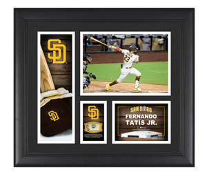 Fernando Tatis Jr. San Diego Padres 24 x 34.75 Magnetic Framed