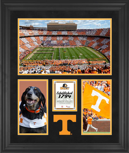Tennessee Volunteers Neyland Stadium Collage Tennessee Volunteers Neyland Stadium Collage