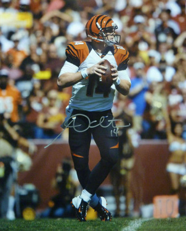 Andy Dalton Autographed Photo Cincinnati Bengals 16x20