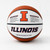 University of Illinois 2026 Season to Remember Basketball