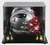 Ty Law Signed Patriots Speed Mini Helmet (HOF 2019) with Display Case
