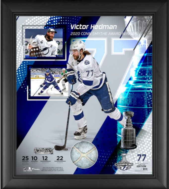 Victor Hedman Tampa Bay Lightning Framed 2020 Stanley Cup Champions Conn Smythe Collage with a Piece of Game-Used Net from the 2020 Stanley Cup Playoffs - Limited Edition 15 x 17 