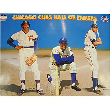 Ernie Banks Fergie Jenkins & B Williams Signed Chicago Cubs NL