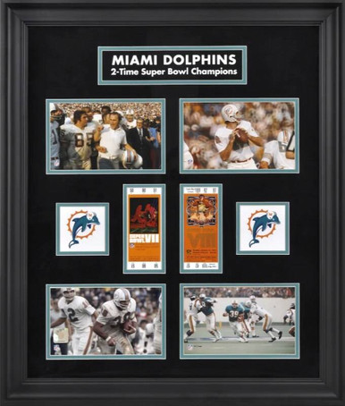 Dolphins 2 Time Super Bowl Champions