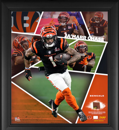 513 Cincinnati Reds Cincinnati Bearcats and Cincinnati Bengals