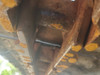 KOMATSU PC55MR-5 Mini Excavator - Quick Coupler/Hydraulic Thumb, 1292hrs 13'5' Dig Depth 12' 30'' Bucket, 11,600lbs, Enclosed Cab, A/C, One Owner - Ready to Work