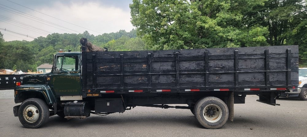 FORD DUMP TRUCK NO.1-B バンピングダンプアクション FORD DUMP TRUCK NO.1-B バンピングダンプアクション