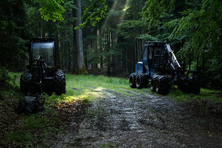 Used Forestry Equipment For Sale