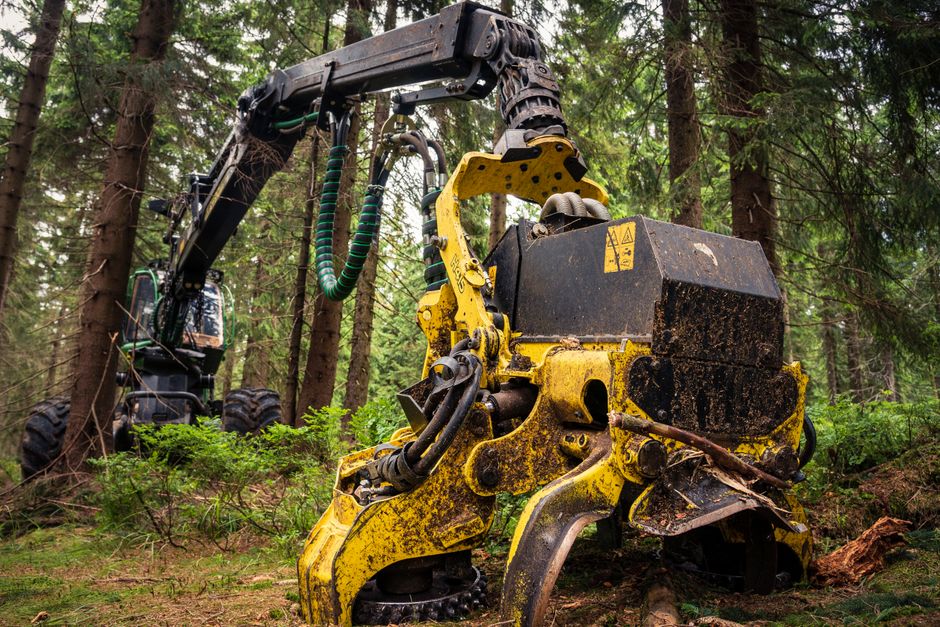 Used Forestry Equipment for Sale