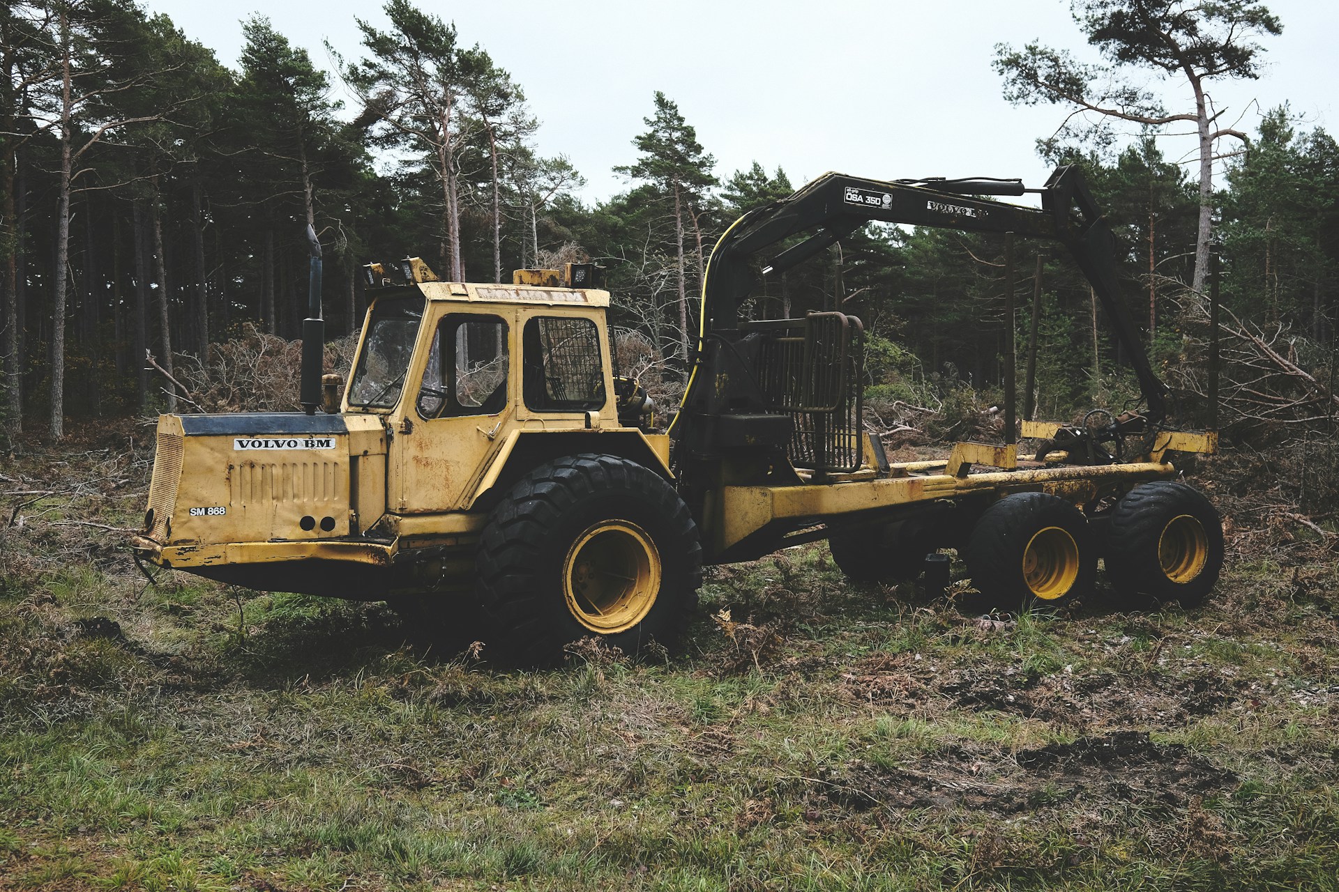 Selling Tree Service and Forestry Equipment: Marketing, Pricing, and Finding Buyers