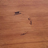 1953 Modernist Blond Birch "M795G" Coffee Table by Heywood Wakefield