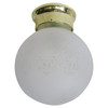 Satin Floral Glass Sphere Ceiling Glass Globe Pendant