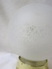 Satin Floral Glass Sphere Ceiling Glass Globe Pendant