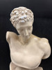 Framed Bust Sculpture 3D Framed Classical Style Art Male and Female Figure- Pair