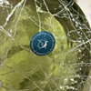 Spanish Mid Century Spaghetti String Green Art Glass String Decanter Bottle