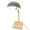 1970 Mod Space Age White Plastic Gooseneck Desk Lamp by Mobilite