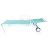 Mid-century Teal Iron Mesh Outdoor/Patio Chaise Lounge by Woodard, Pair