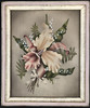 1940s Airbrushed Daffodil Flowers with Bow Still Life Painting by Terone, Framed 1940s Airbrushed Daffodil Flowers with Bow Still Life Painting by Terone, Framed