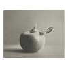 Martha Alf "Apple" Still Life Lithograph Print Limited Edition of 250 Signed