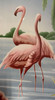 Mid Century Flamingo Lithograph Print by Turner in Mirror Frame Mid Century Flamingo Lithograph Print by Turner in Mirror Frame