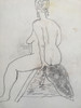 17" x 23" Plus Size Nude Female Drawling on Paper 17" x 23" Plus Size Nude Female Drawling on Paper