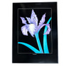 1980s Framed "Iris Versicolor" Illustration Painting Print in Black Frame