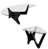 1950s Noguchi Style Biomorphic "Airplane" Coffee Table & Side Table Set of 2 1950s Noguchi Style Biomorphic "Airplane" Coffee Table & Side Table Set of 2
