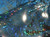 The precise colors & reflections work scientifically to prevent a bird of prey attack.