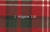 Tartan by the yard (Nisbet Mod)